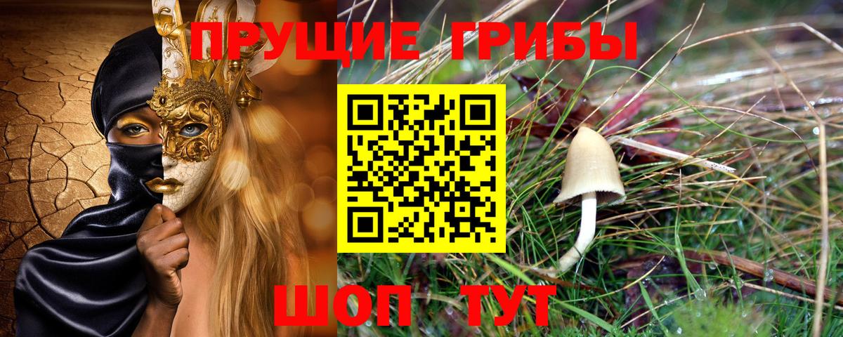 где продают наркотики  Галлюциногенные грибы GOLDEN TEACHER  Вход с VPN  Галлюциногенные грибы Psilocybe  Светлоград 